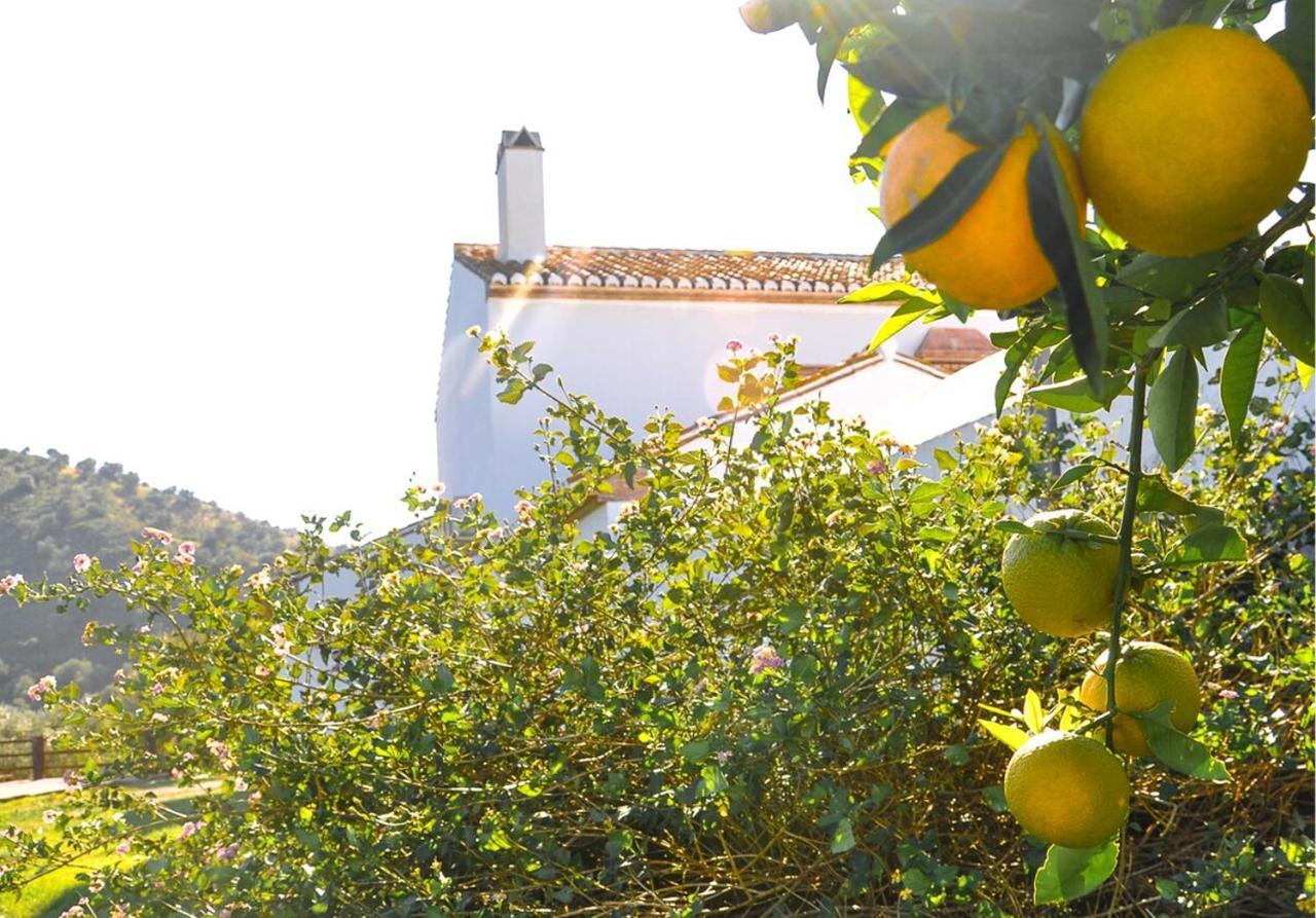 ألورا Cortijo Las Caballerias المظهر الخارجي الصورة